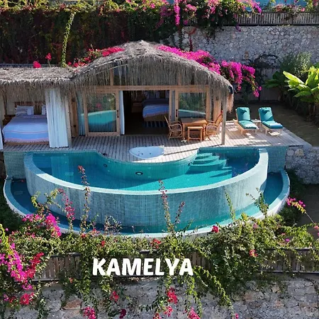 Seaview Кемпинг *