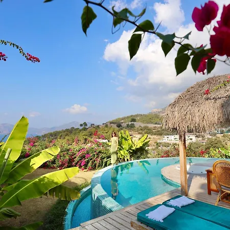 Seaview Campsite Faralya