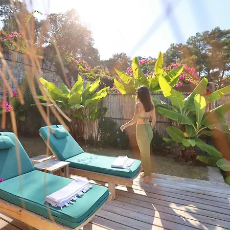 Seaview Camping