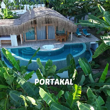 Seaview Camping *